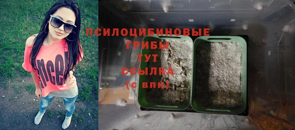 бутират Алексин